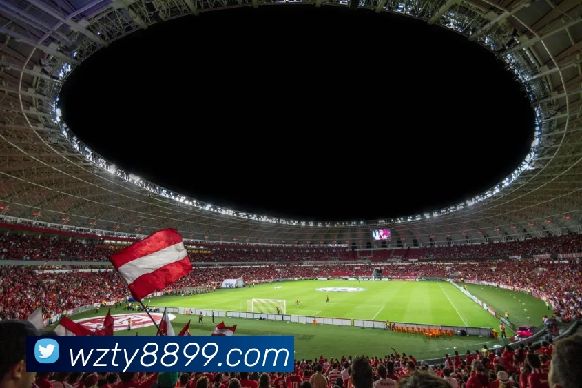 王者体育官网服务体系