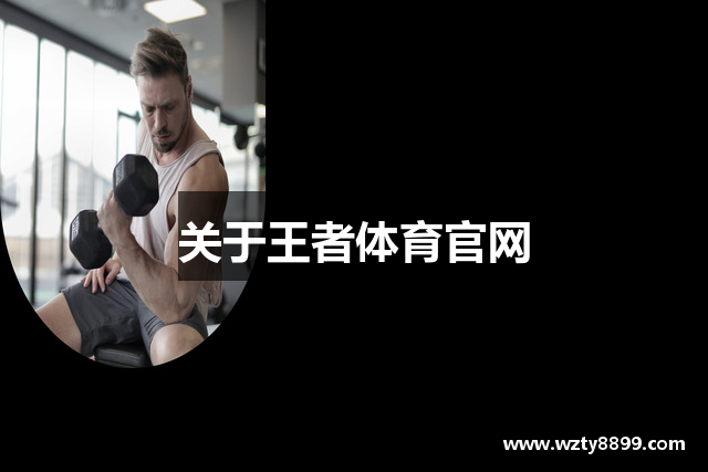 关于王者体育官网